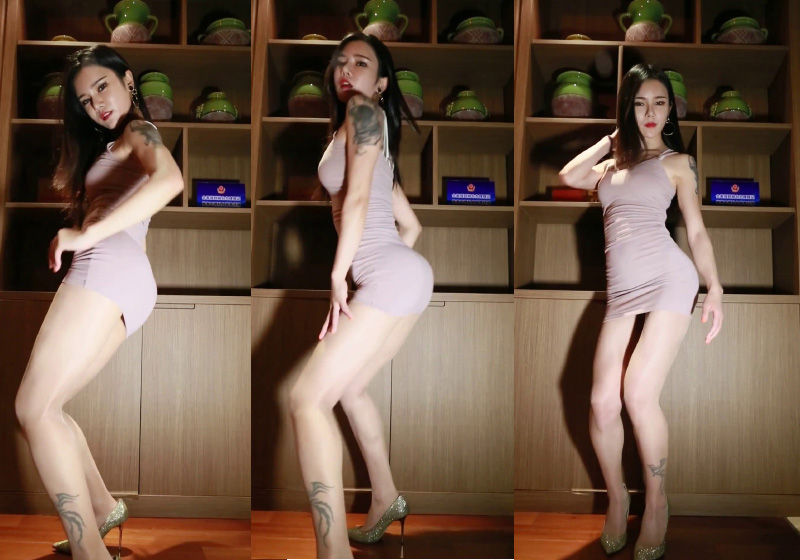 [饭拍]韩国美女包臀裙慢摇