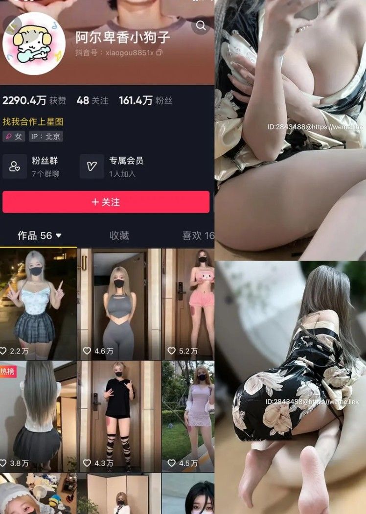 阿尔卑香小狗子 – 微密圈写真&视频合集【持续更新中】